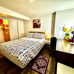 Cozy Private With Shared Bathroom On The 1st Floor - Conveniently Located Near Seatac Airport And Downtown , Seattle United States